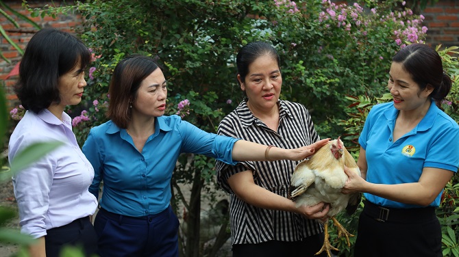 4dai dien cong doan va ban nu cong kiem tra suc khoe dan ga va trao doi ky thuat chan nuoi voi chi vu thi ha
